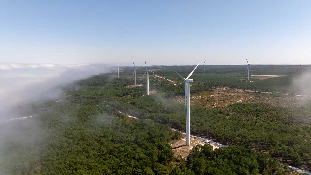 consultoría energética